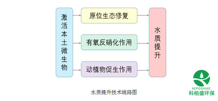 亚洲AV怡红院AV男人的天堂