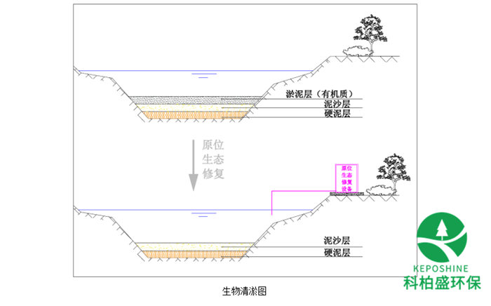 亚洲AV怡红院AV男人的天堂