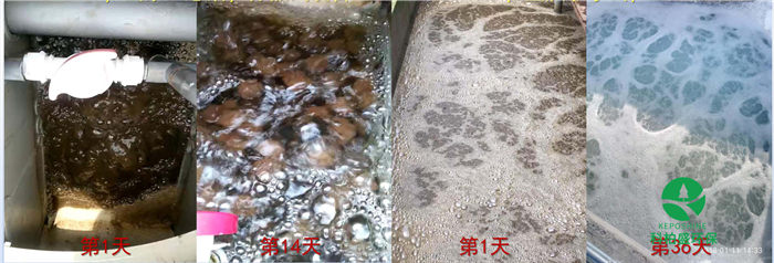 亚洲AV怡红院AV男人的天堂