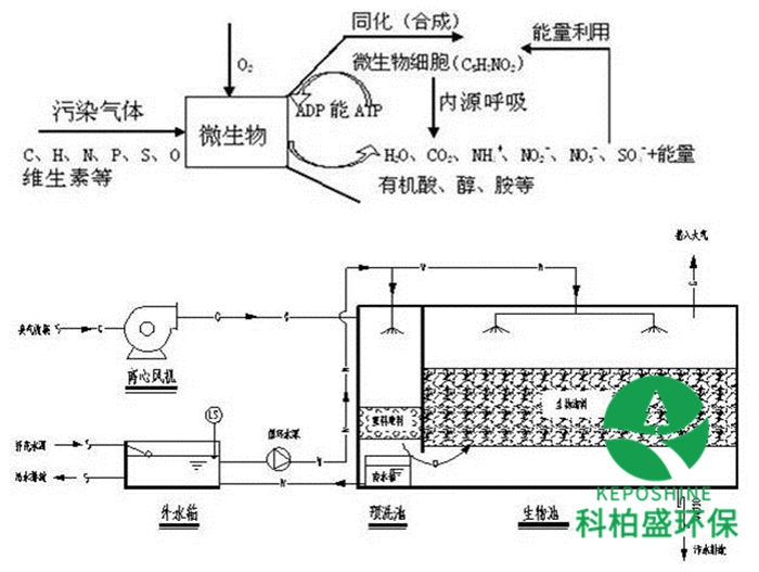 亚洲AV怡红院AV男人的天堂