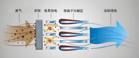 亚洲AV怡红院AV男人的天堂