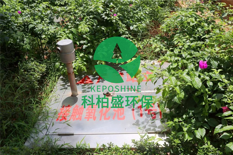 亚洲AV怡红院AV男人的天堂
