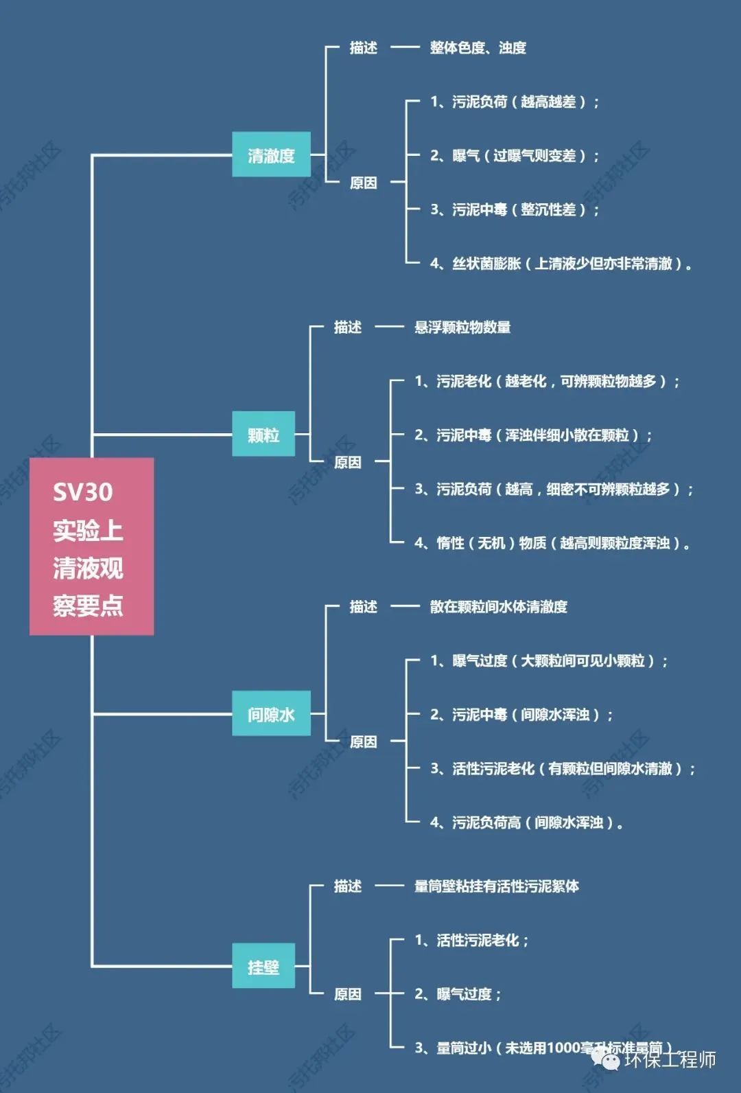 亚洲AV怡红院AV男人的天堂